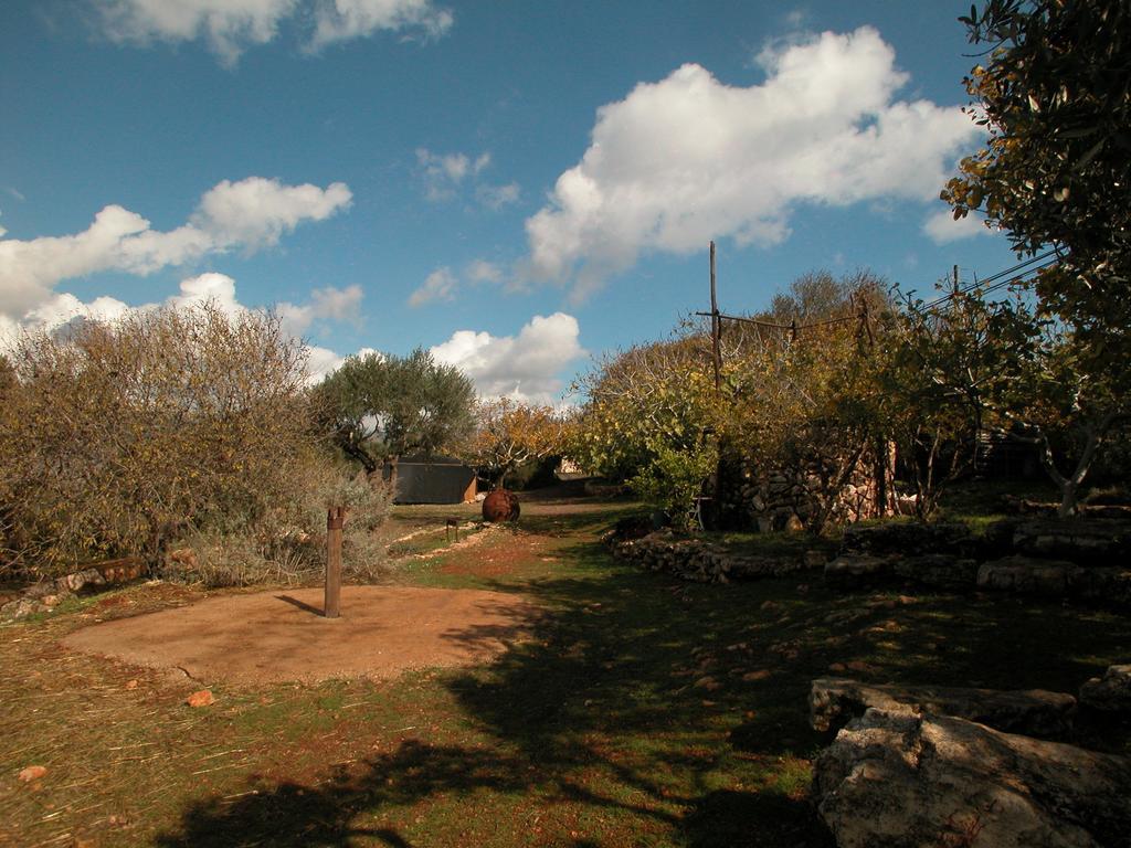 Hotel Back To Nature Camping & Huts Mikhmannim Habitación foto